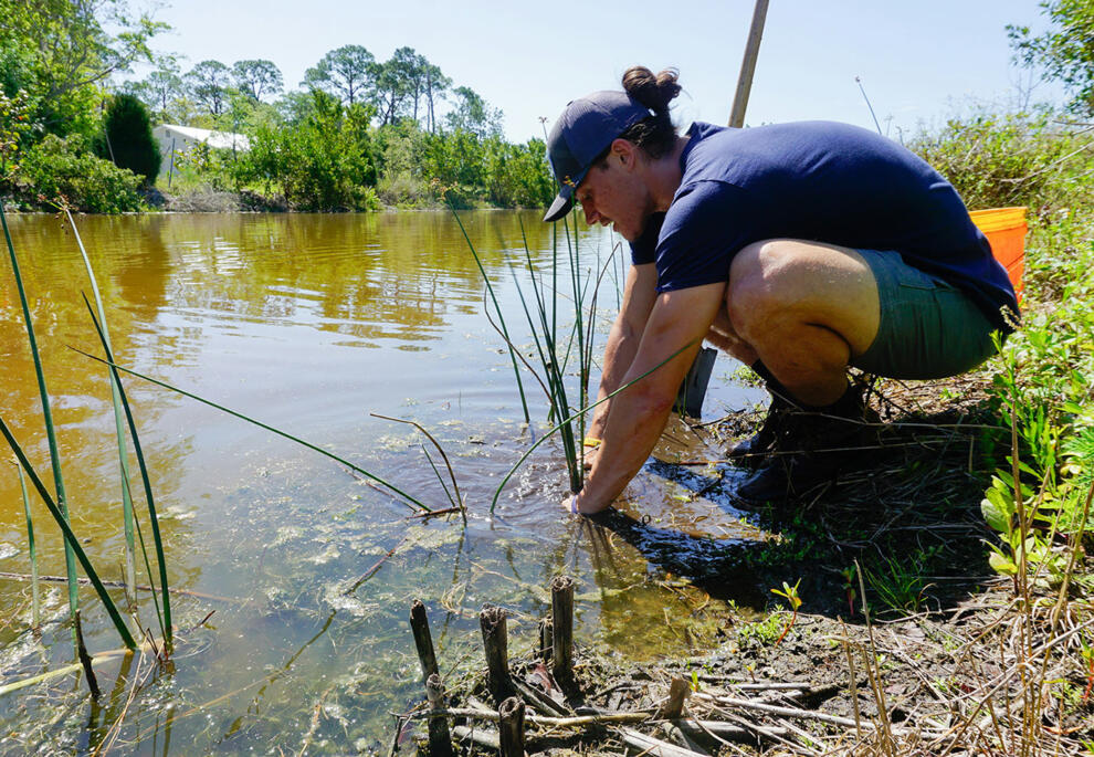 Offering their employees paid time off to volunteer, demonstrates a company's commitment to putting social responsibility commitments into action.