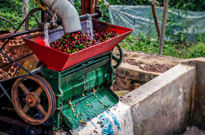 Ethical coffee brands, Fair trade coffee movement, Social impact of fair trade coffee