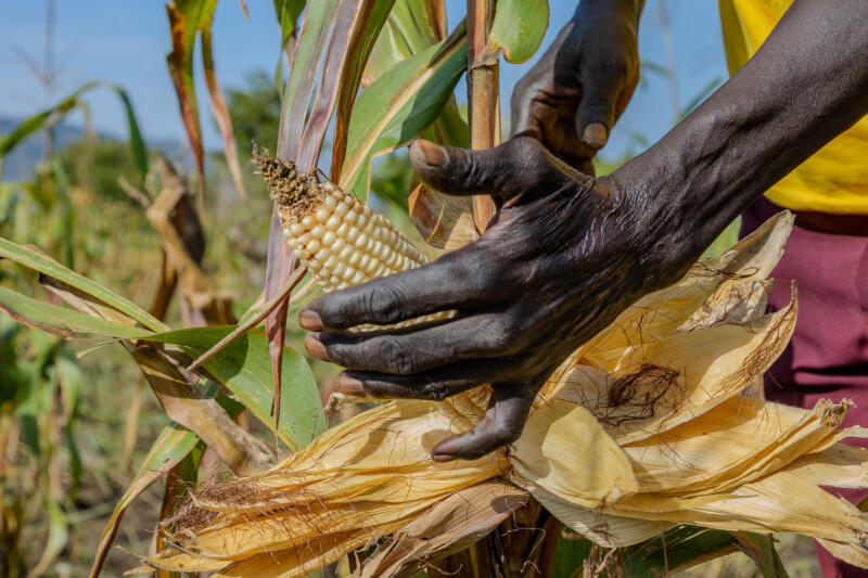 Cameras for Girls access to photography equipment women’s economic empowerment