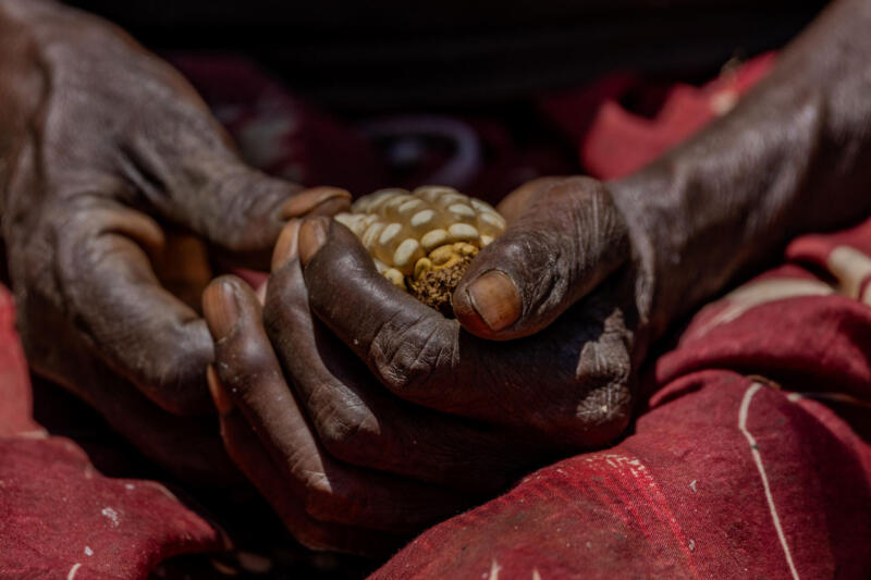 Cameras for Girls Amina Mohammed gender inequality in media