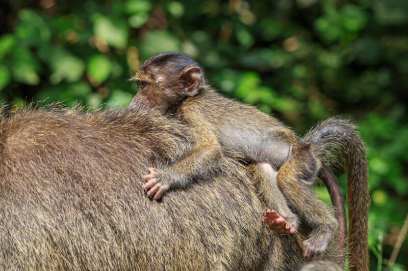 Cameras for Girls Amina Mohammed gender inequality in media