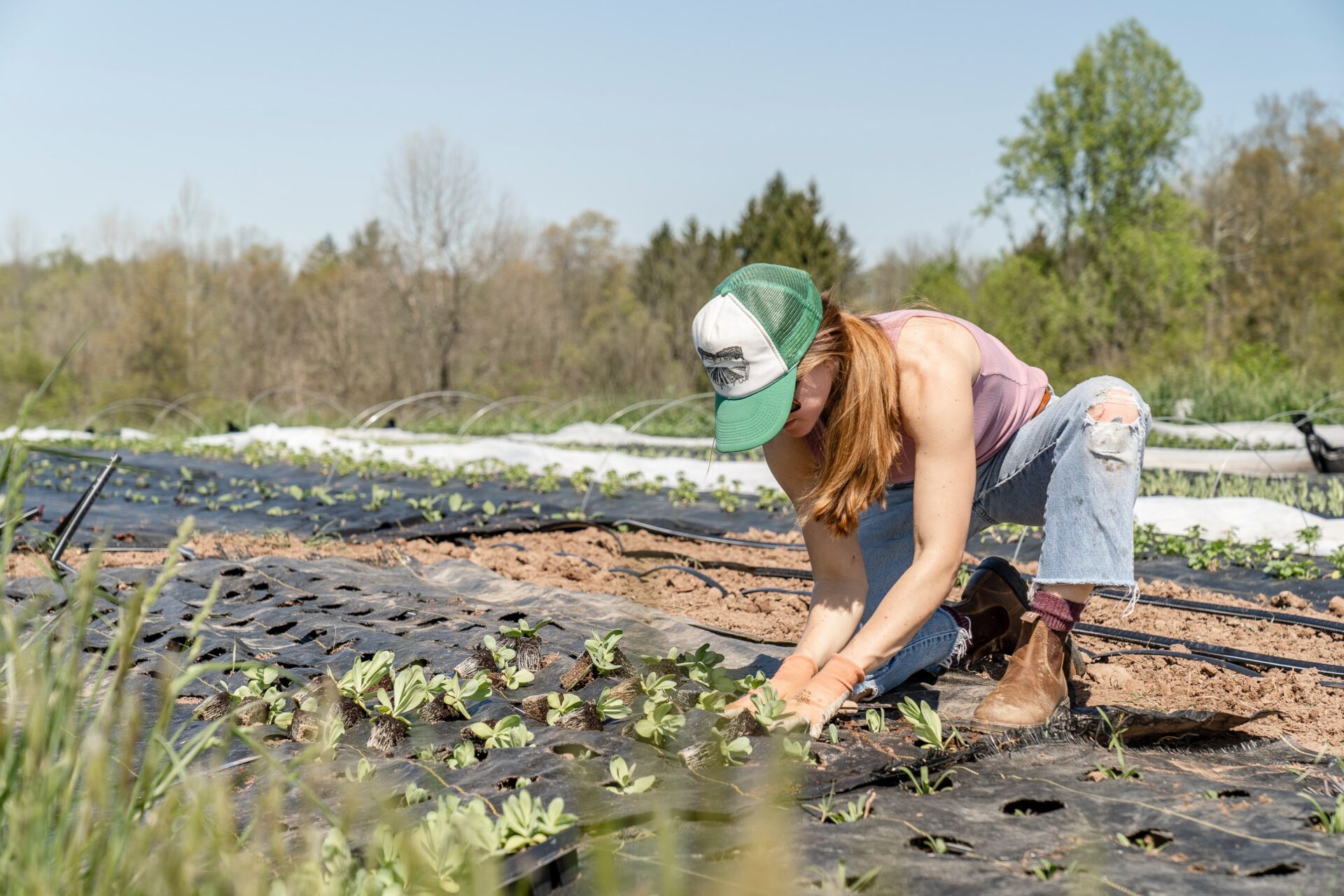 food is medicine soil health